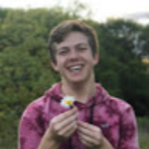 Meet your Posher, Cooper - Picture 1 of 1